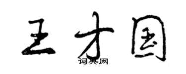 曾慶福王才國行書個性簽名怎么寫