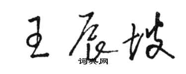 駱恆光王辰坡草書個性簽名怎么寫