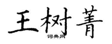 丁謙王樹菁楷書個性簽名怎么寫