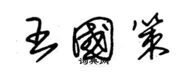 朱錫榮王國策草書個性簽名怎么寫