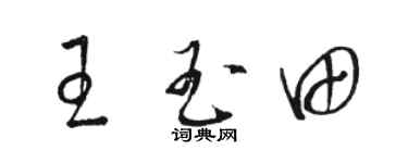 駱恆光王玉田草書個性簽名怎么寫