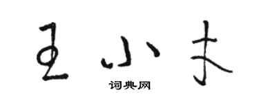 駱恆光王小才草書個性簽名怎么寫