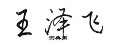 駱恆光王澤飛行書個性簽名怎么寫