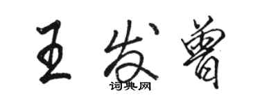 駱恆光王發曾行書個性簽名怎么寫