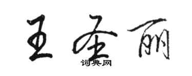 駱恆光王聖麗行書個性簽名怎么寫