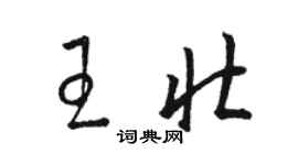 駱恆光王壯草書個性簽名怎么寫