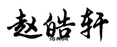 胡問遂趙皓軒行書個性簽名怎么寫