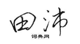 駱恆光田沛行書個性簽名怎么寫