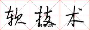 段相林軟技術行書怎么寫