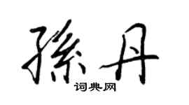 王正良孫丹行書個性簽名怎么寫