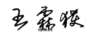 朱錫榮王霖獲草書個性簽名怎么寫