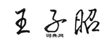 駱恆光王子昭行書個性簽名怎么寫