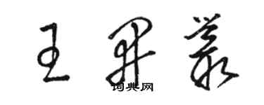 駱恆光王開叢草書個性簽名怎么寫