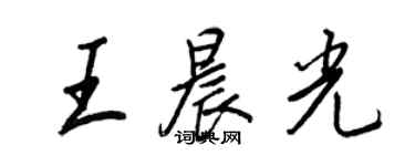 王正良王晨光行書個性簽名怎么寫