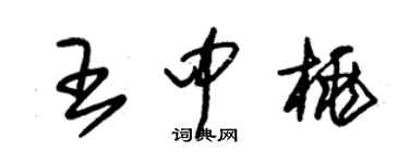 朱錫榮王中桃草書個性簽名怎么寫