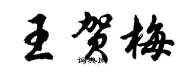 胡問遂王賀梅行書個性簽名怎么寫