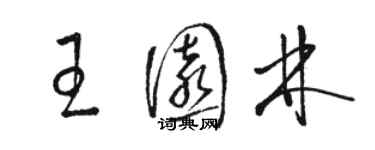 駱恆光王園林草書個性簽名怎么寫