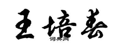 胡問遂王培春行書個性簽名怎么寫