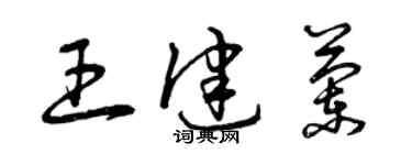 曾慶福王健蘭草書個性簽名怎么寫