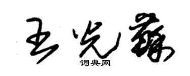 朱錫榮王光蘇草書個性簽名怎么寫