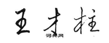 駱恆光王才柱行書個性簽名怎么寫