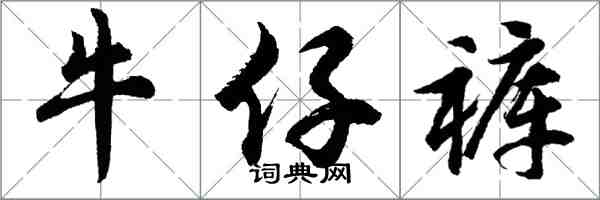 胡問遂牛仔褲行書怎么寫