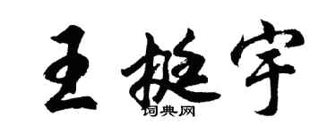 胡問遂王挺宇行書個性簽名怎么寫