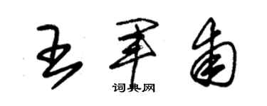 朱錫榮王軍甫草書個性簽名怎么寫