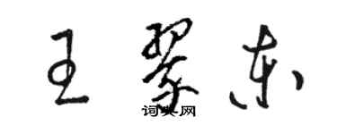 駱恆光王翠東草書個性簽名怎么寫