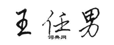 駱恆光王任男行書個性簽名怎么寫