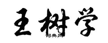 胡問遂王樹學行書個性簽名怎么寫