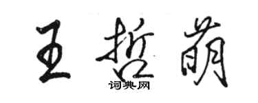 駱恆光王哲萌行書個性簽名怎么寫