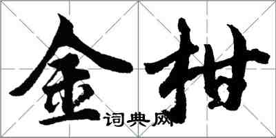 胡問遂金柑行書怎么寫