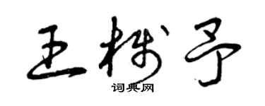 曾慶福王棧予草書個性簽名怎么寫