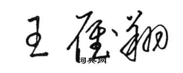 駱恆光王雁翔草書個性簽名怎么寫