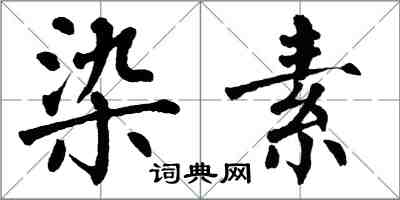 翁闓運染素楷書怎么寫