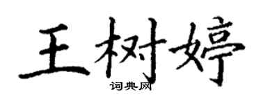 丁謙王樹婷楷書個性簽名怎么寫