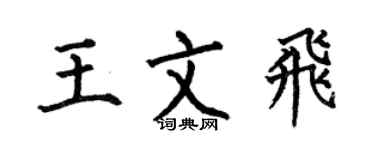 何伯昌王文飛楷書個性簽名怎么寫
