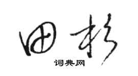 駱恆光田杉草書個性簽名怎么寫