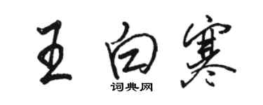 駱恆光王白寒行書個性簽名怎么寫