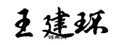 胡問遂王建環行書個性簽名怎么寫