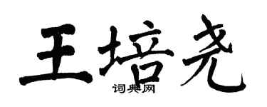 翁闓運王培堯楷書個性簽名怎么寫
