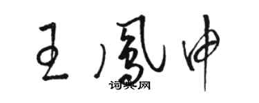 駱恆光王鳳申草書個性簽名怎么寫