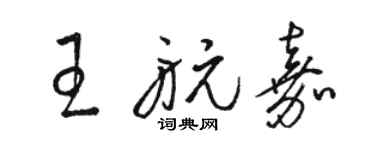 駱恆光王航嘉草書個性簽名怎么寫