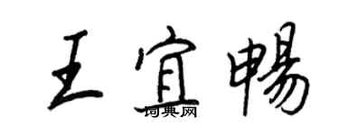 王正良王宜暢行書個性簽名怎么寫