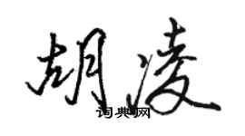 駱恆光胡凌行書個性簽名怎么寫