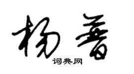 朱錫榮楊普草書個性簽名怎么寫