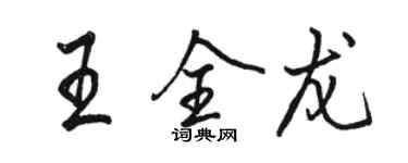 駱恆光王全龍行書個性簽名怎么寫