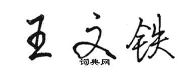 駱恆光王文鐵行書個性簽名怎么寫