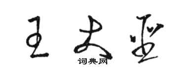 駱恆光王大聖草書個性簽名怎么寫